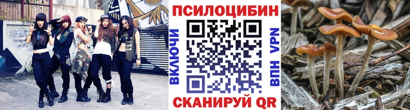 Псилоцибиновые грибы мухоморы  купить  сайты  Салават 